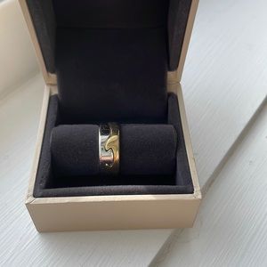 Georg Jensen fusion rings